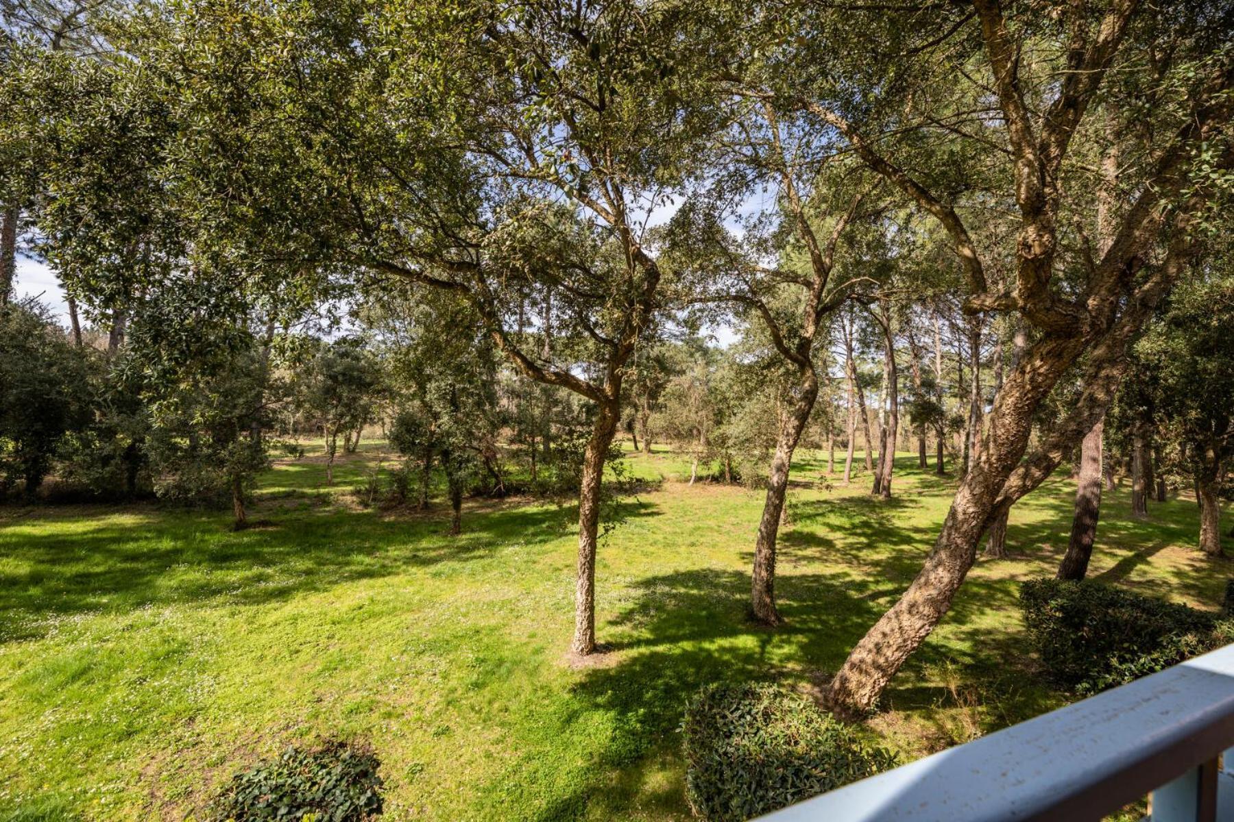 Le Domaine Du Golf De Pinsolle - Maeva Home - Appartement 2 Pieces 5 Personnes - Confort Mae-2674 Сустон Екстериор снимка